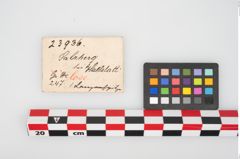 Etikett zu Eisenlanzenspitze (NHMW-PRAE-023936)